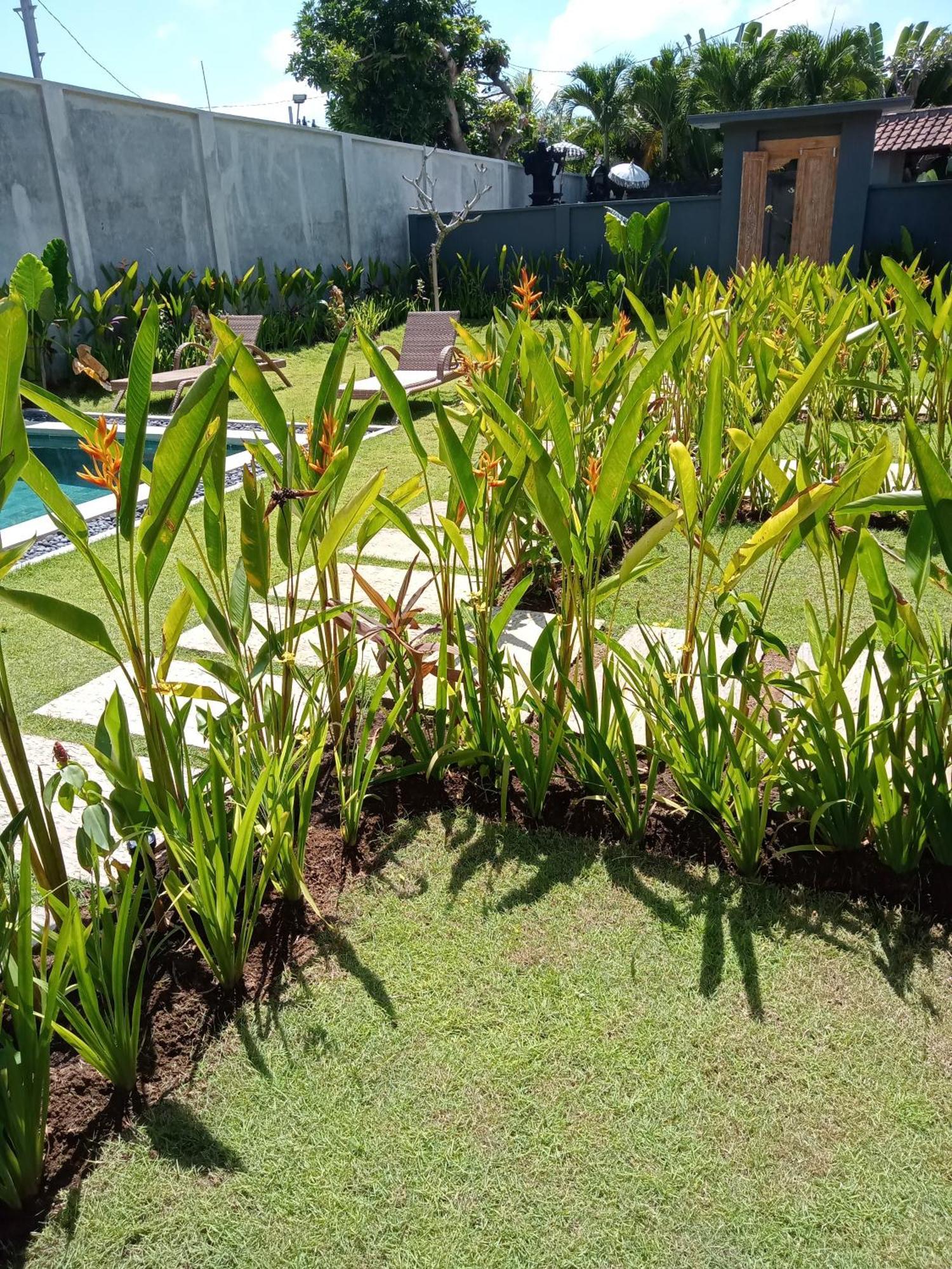 Parama Homestay Balangan Uluwatu  Bagian luar foto