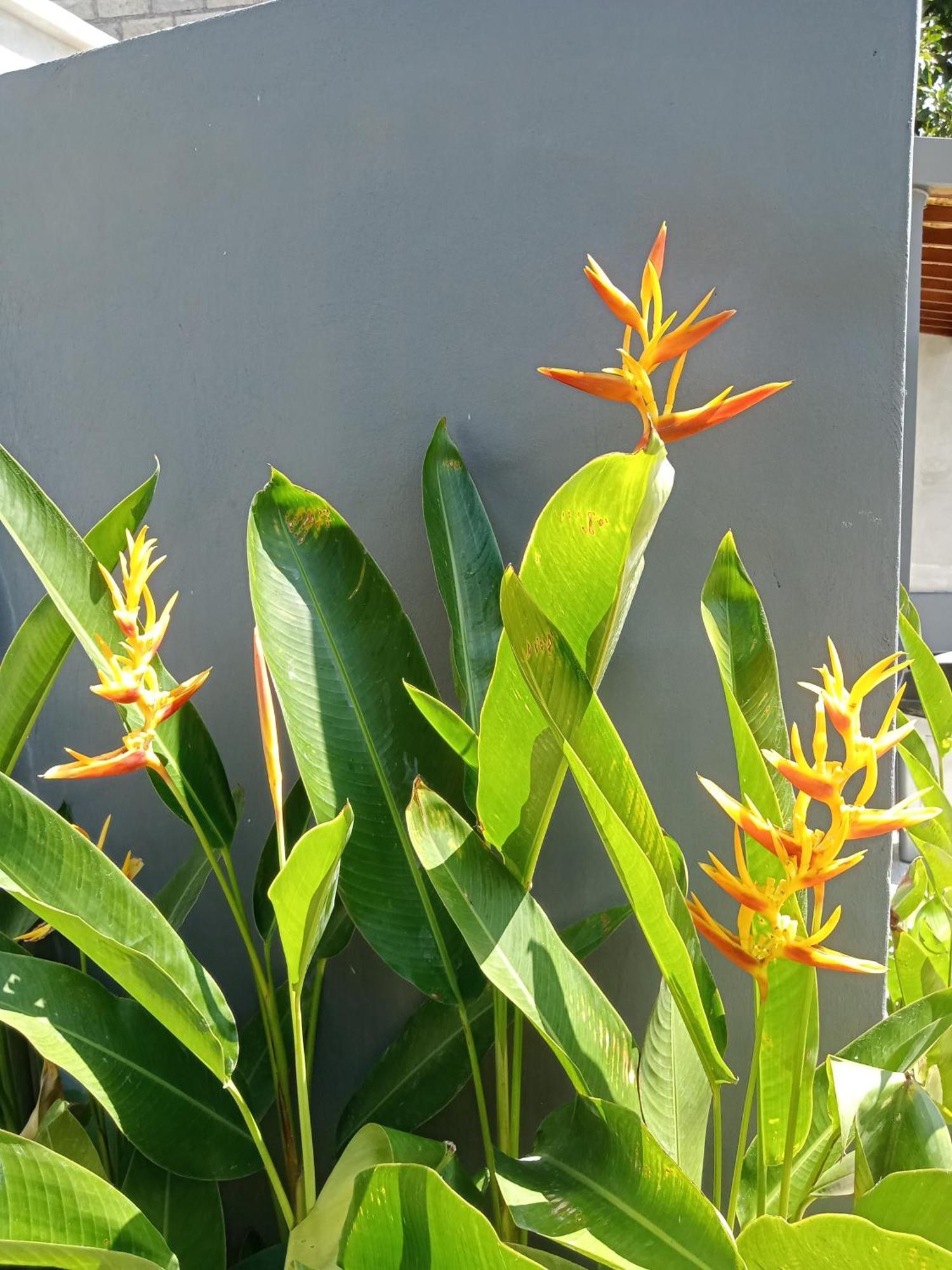 Parama Homestay Balangan Uluwatu  Bagian luar foto